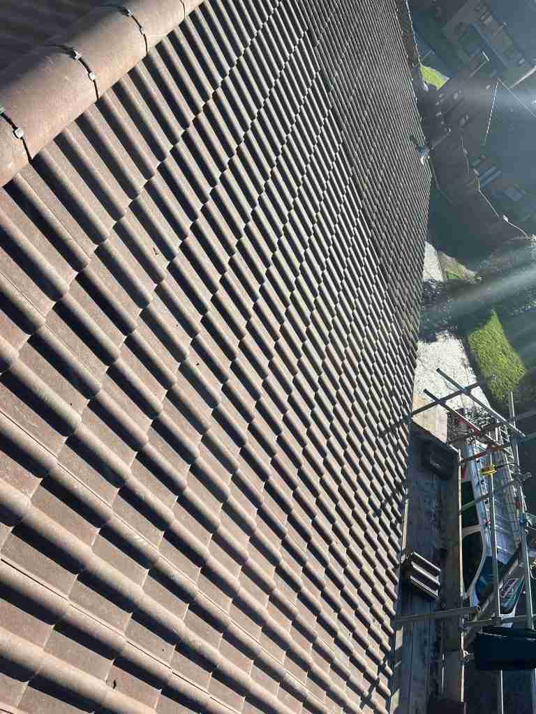 Roof Repairs
