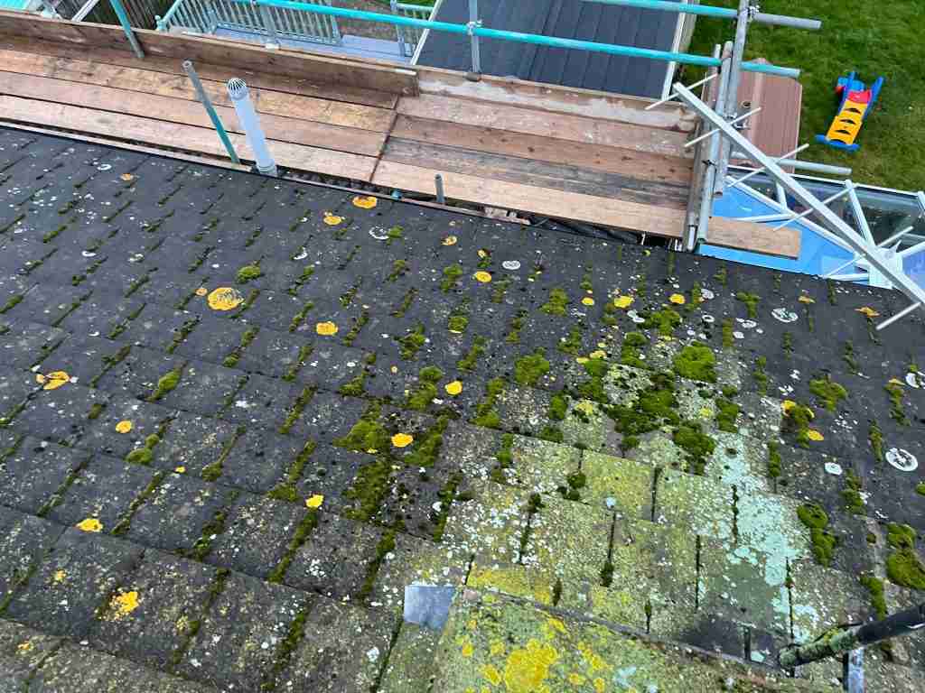 Roof Repairs